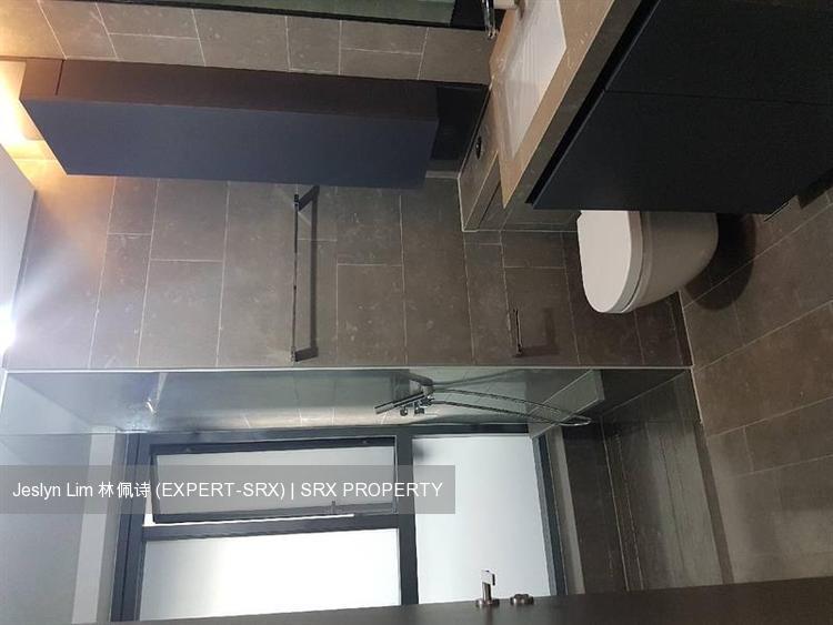 Skysuites@Anson (D2), Apartment #211089151